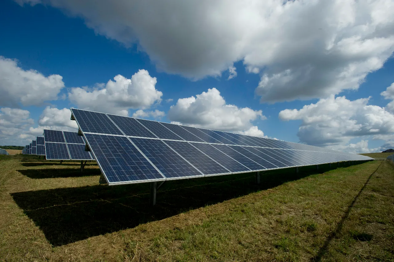 Committed to Sustainability