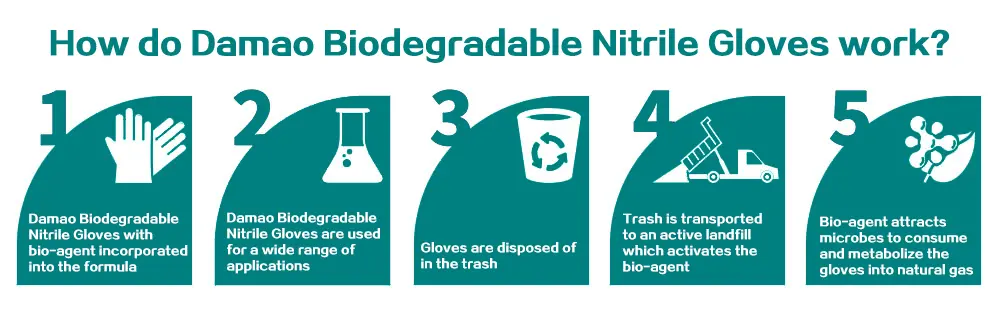 Luvas de Nitrilo Biodegradáveis - Detalhe 1