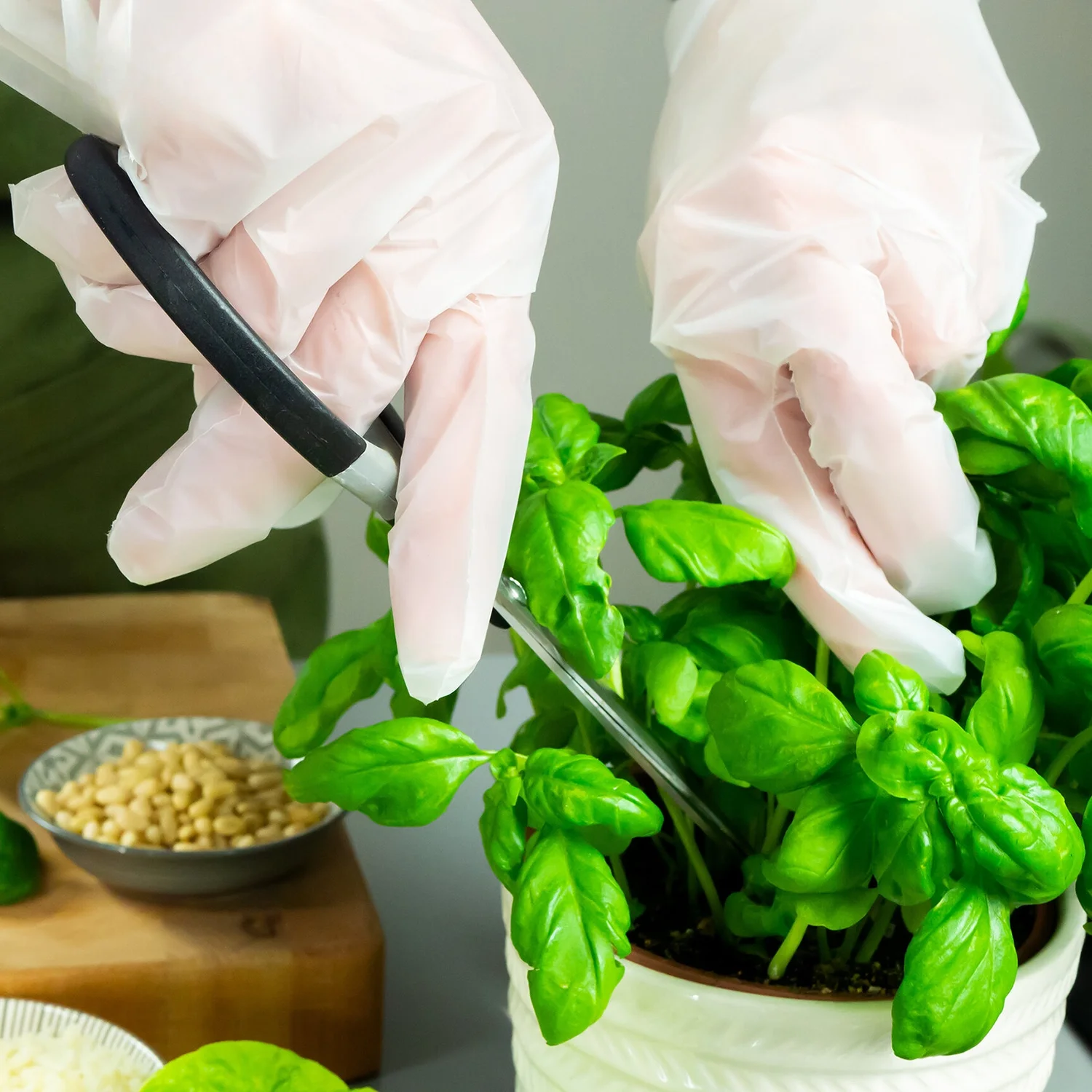 Compostable Disposable Gloves - Gallery 2
